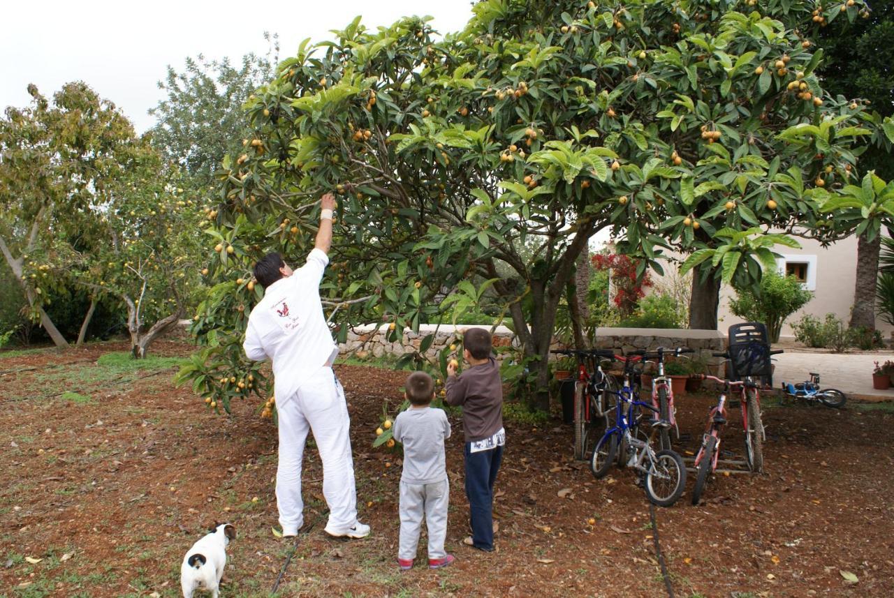 Agroturismo Can Gall Hotel Sant Joan De Labritja Buitenkant foto